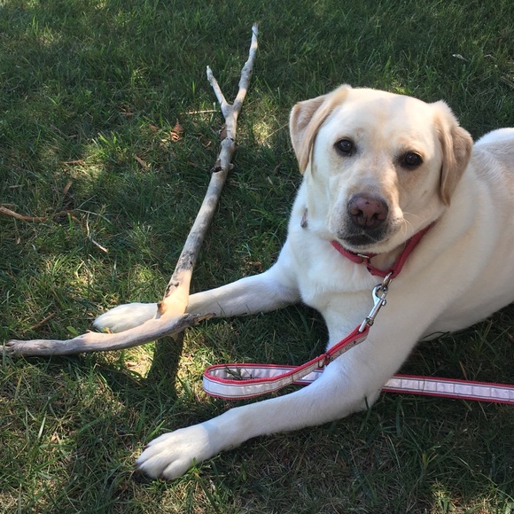 Thanks for visiting my closet! - Picture 9 of 11